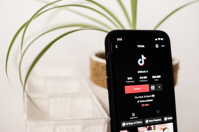صورة مقربة لحساب TikTok معروضة على شاشة هاتف ذكي.