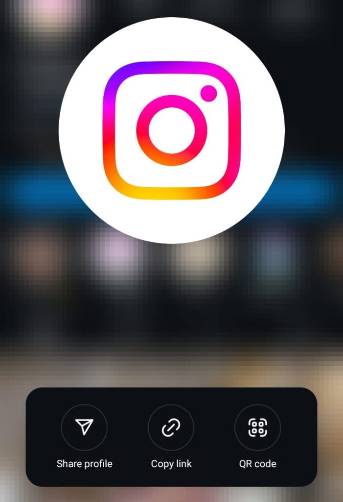 Una schermata di GoRead.io dell'opzione di espansione dell'immagine del profilo di Instagram.