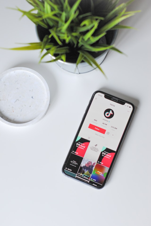 Una pianta con accanto uno smartphone che visualizza l'account TikTok sull'app.