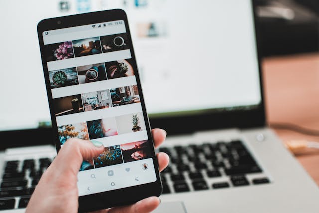 Um telemóvel que mostra as fotografias de uma conta do Instagram, principalmente de plantas.