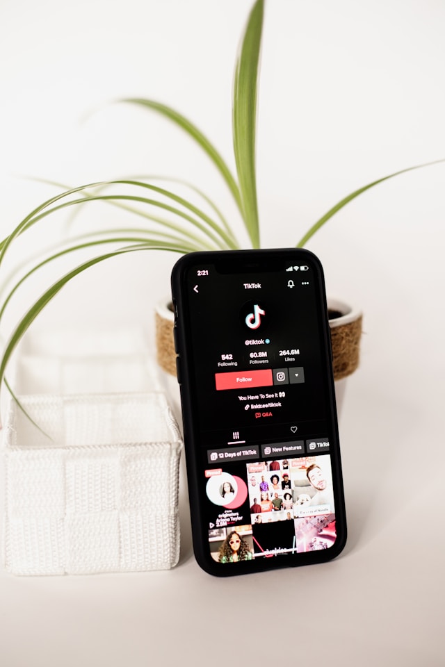 Um telemóvel apoiado num vaso de plantas e que apresenta a página oficial do TikTok na aplicação. 