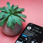 Uma planta junto a um smartphone com uma conta Instagram no ecrã.