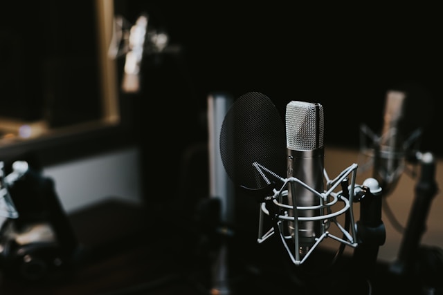 Un condensator de microfon de studio argintiu și negru.